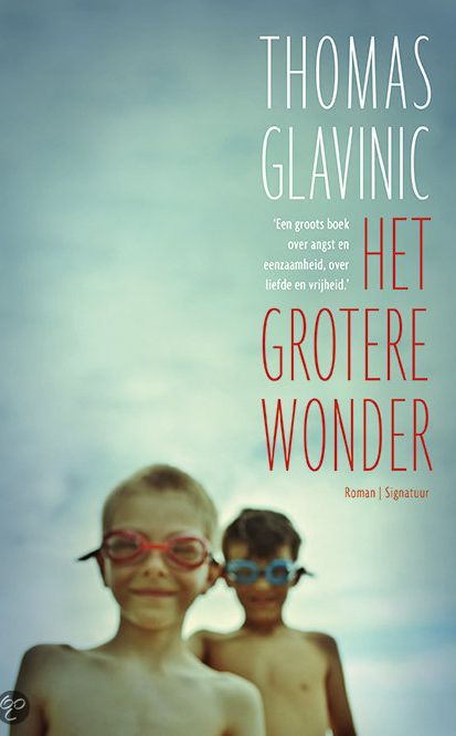 Thomas Glavinic - Het grotere wonder