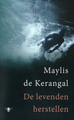 Maylis de Kerangal - De levenden herstellen