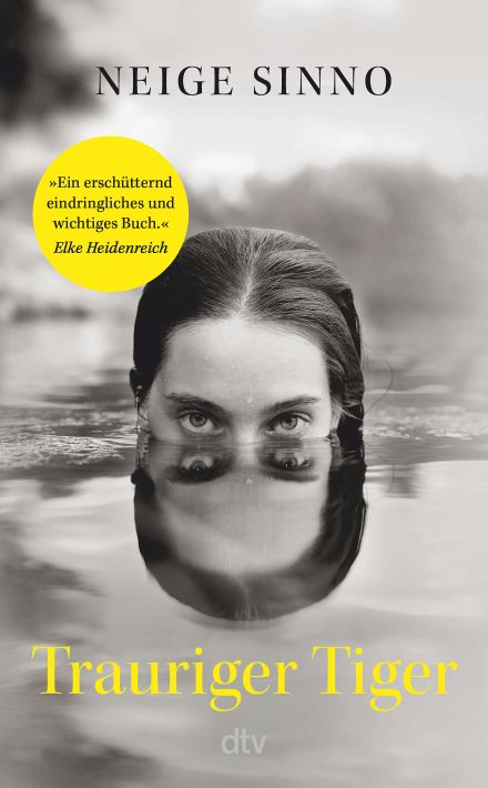 Lucy Fricke: Die Diplomatin