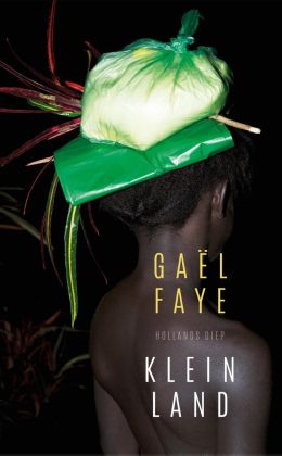 Gaël Faye - Klein land
